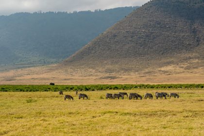 Safari en Tanzanie : découvrez la vallée du rift