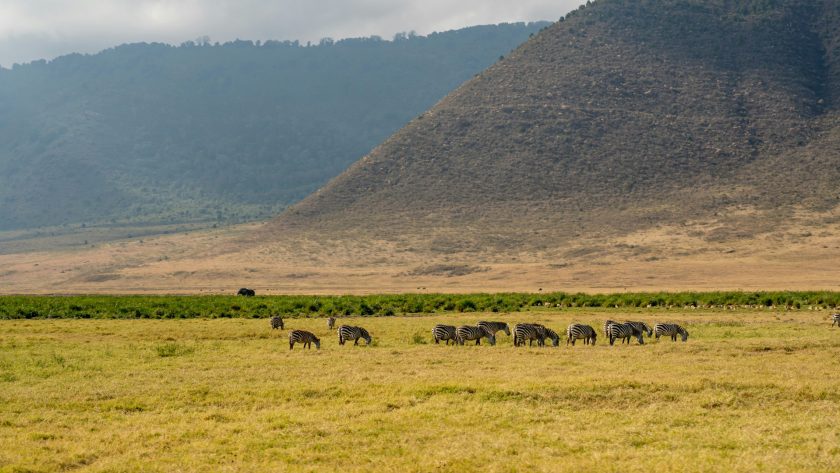 Safari en Tanzanie : découvrez la vallée du rift