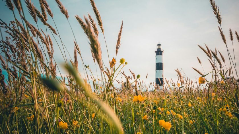 Séjour inoubliable à l'île d'Oléron : réservez vite votre hébergement !